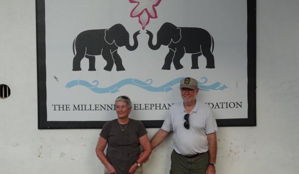 elephant orphanage volunteer srilanka