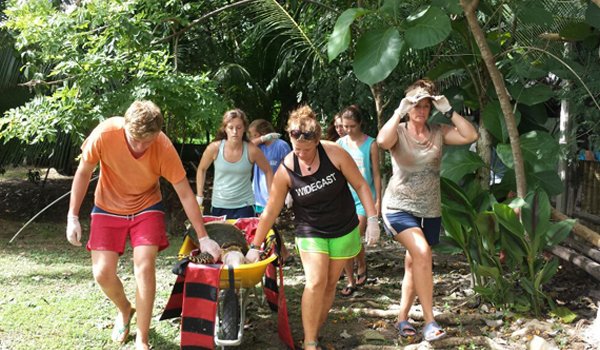 volunteer curing turtle costarica