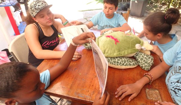 volunteer learning about turtle