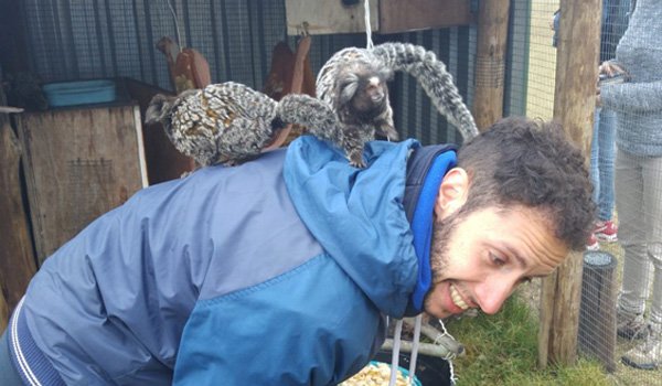 volunteer having fun time with wild animal in south africa