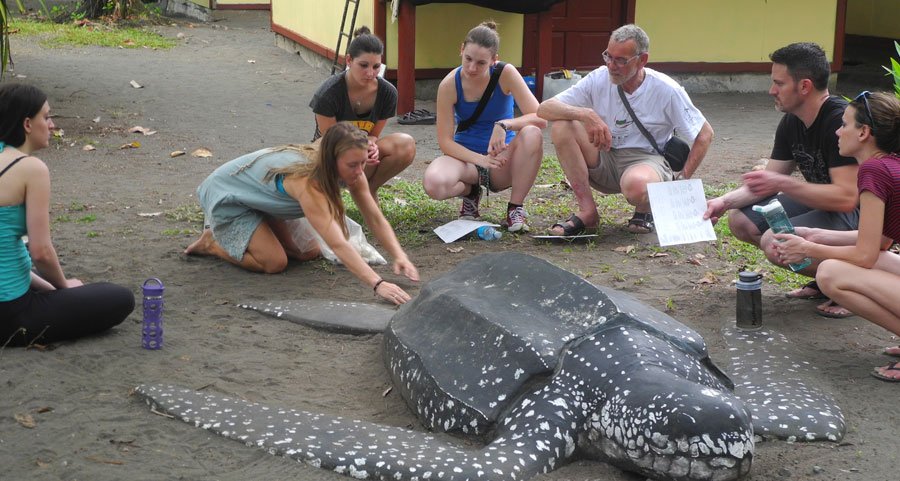 volunteers with turtles in costa rica