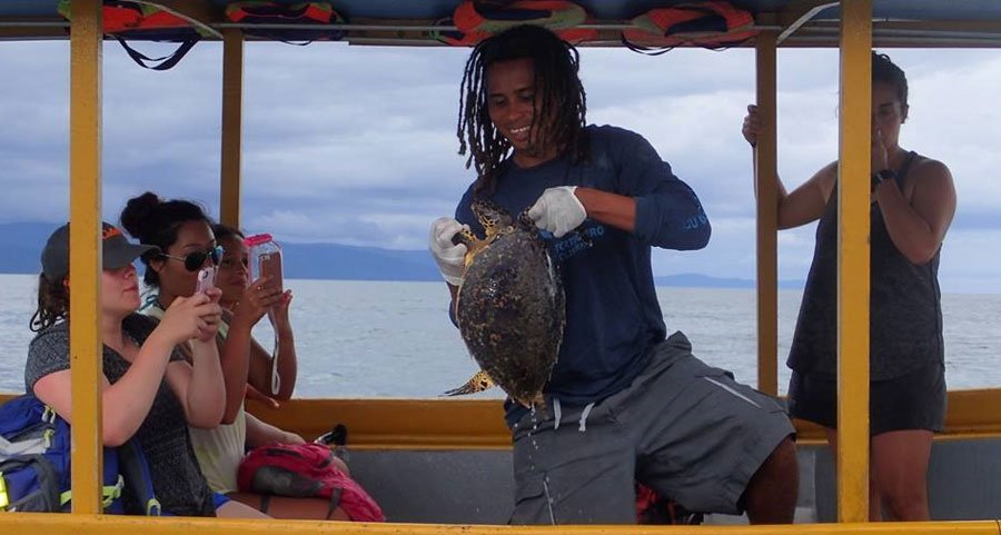 costa rica turtle conservation volunteer program