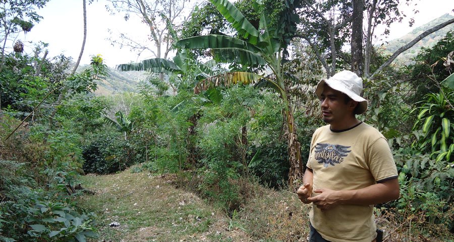 organic-farming-in-costa-rica