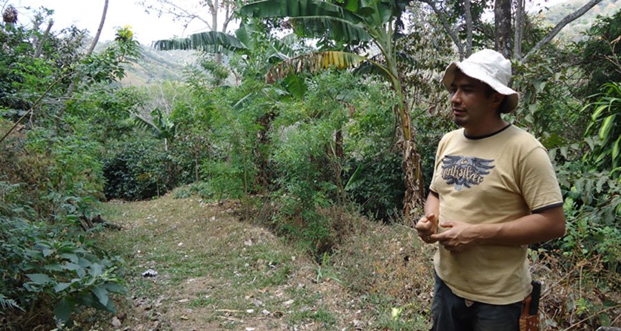 work in a coffee farm costa rica