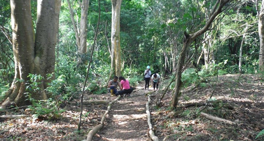 conservation-project-in-ecuador
