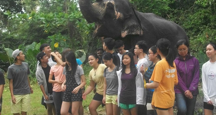 elephant conservation in srilanka