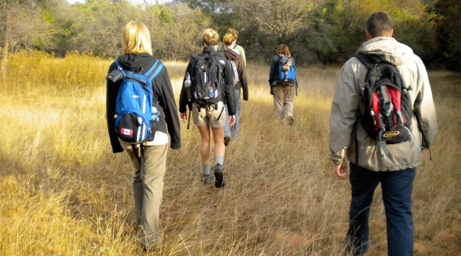 wild life volunteer africa